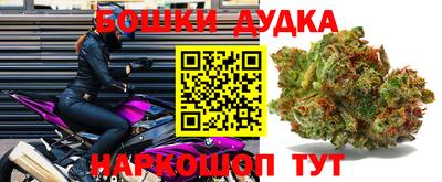 ГАЛЛЮЦИНОГЕННЫЕ ГРИБЫ Бийск