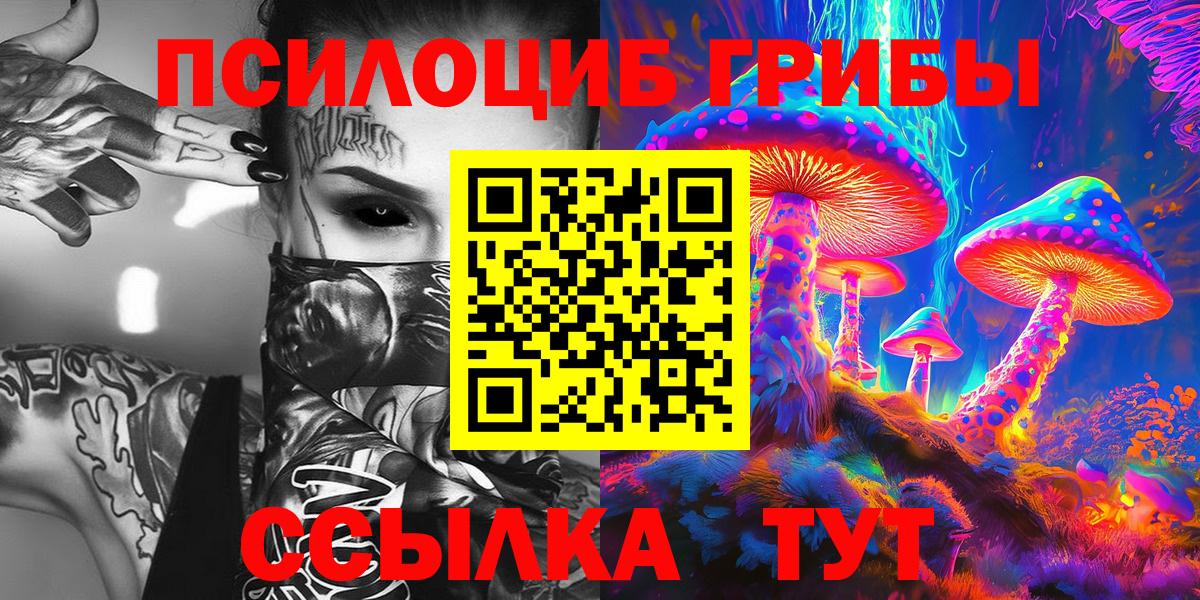 Златоуст  Галлюциногенные грибы Cubensis  Вход с VPN 